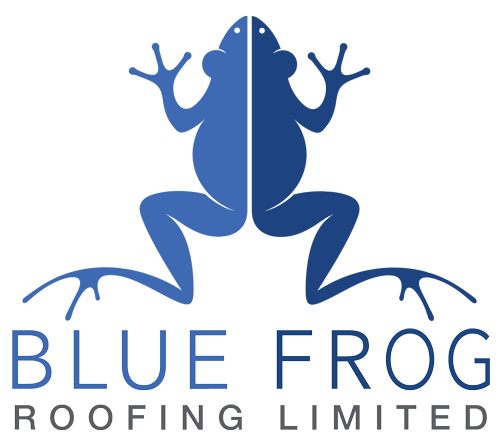 BlueFrog Roofing