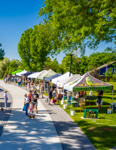 Berthoud Market